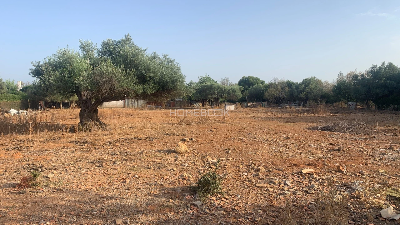 Terreno Agricola ou Rústico para Venda em Conceição e Cabanas de Tavira Foto 1