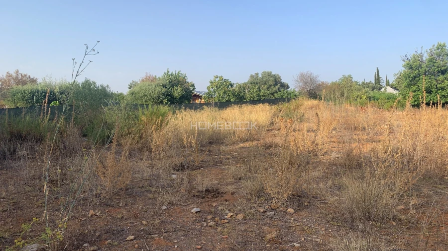 Terreno Agricola ou Rústico para Venda em Conceição e Cabanas de Tavira Foto 8
