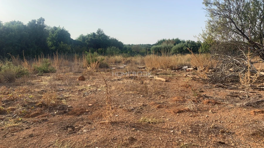 Terreno Agricola ou Rústico para Venda em Conceição e Cabanas de Tavira Foto 4