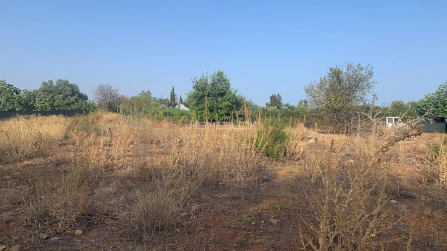 Terreno Agricola ou Rústico para Venda em Conceição e Cabanas de Tavira Foto 6