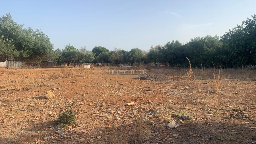 Terreno Agricola ou Rústico para Venda em Conceição e Cabanas de Tavira Foto 5
