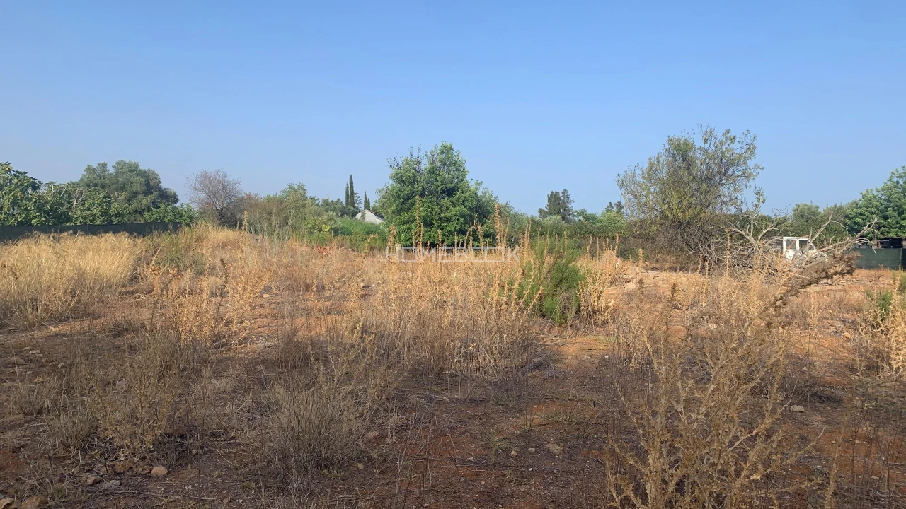 Terreno Agricola ou Rústico para Venda em Conceição e Cabanas de Tavira Foto 6