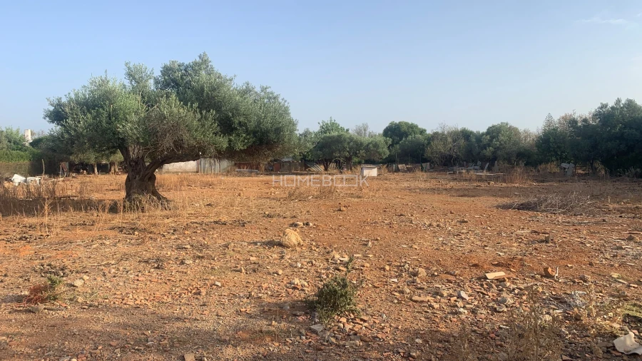 Terreno Agricola ou Rústico para Venda em Conceição e Cabanas de Tavira