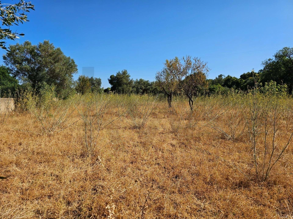 Terreno para Venda em Loule (São Clemente) Foto 14