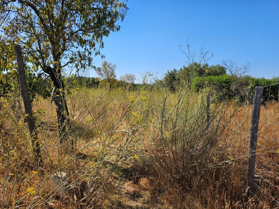 Terreno para Venda em Loule (São Clemente) Foto 5