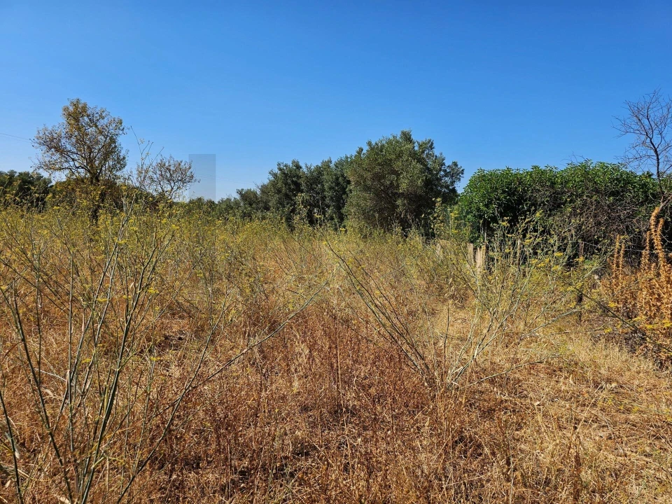 Terreno para Venda em Loule (São Clemente) Foto 8