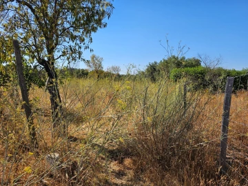 Terreno para Venda em Loule (São Clemente)