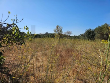 Terreno para Venda em Loule (São Clemente)