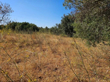 Terreno para Venda em Loule (São Clemente)