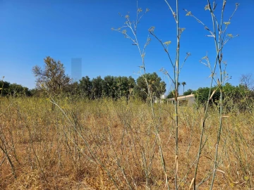 Terreno para Venda em Loule (São Clemente)
