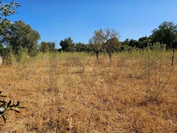 Terreno para Venda em Loule (São Clemente)