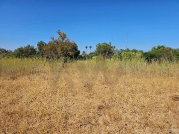 Terreno para Venda em Loule (São Clemente)