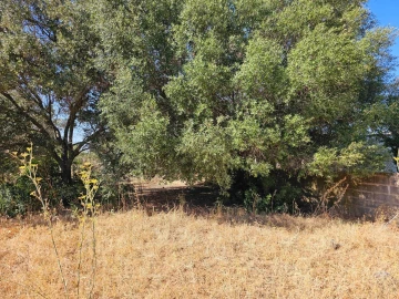 Terreno para Venda em Loule (São Clemente)