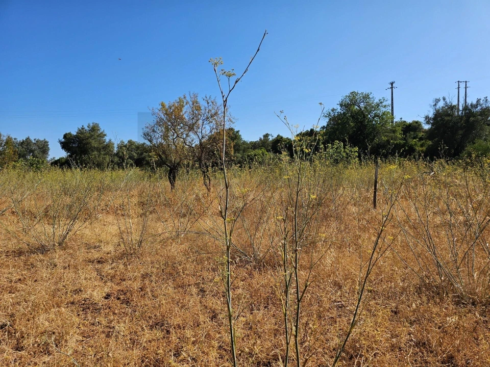Terreno para Venda em Loule (São Clemente) Foto 17