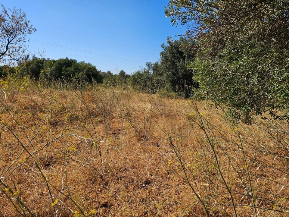 Terreno para Venda em Loule (São Clemente) Foto 10