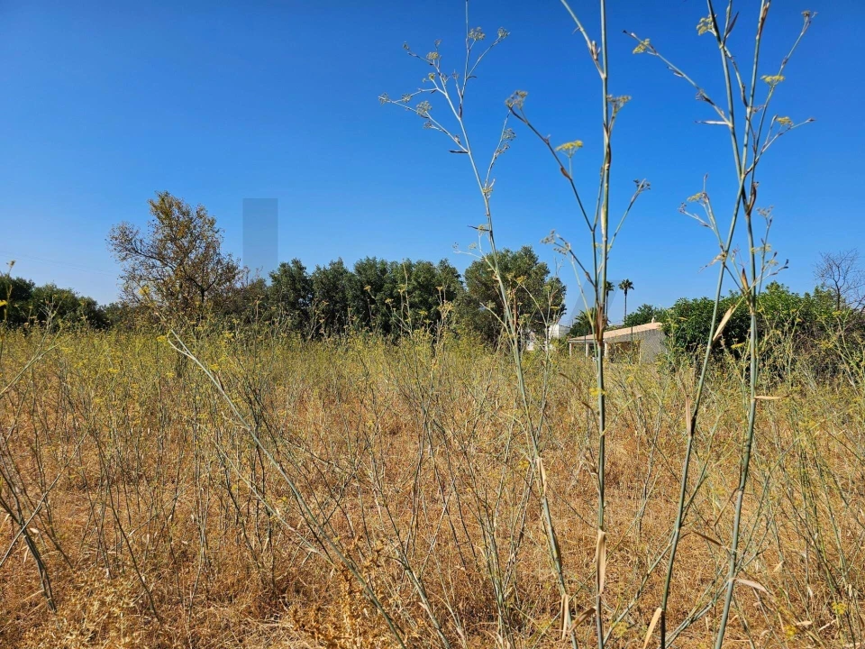 Terreno para Venda em Loule (São Clemente) Foto 7