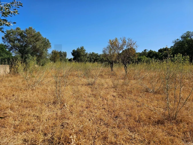 Terreno para Venda em Loule (São Clemente) Foto 14