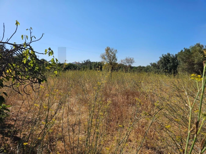 Terreno para Venda em Loule (São Clemente) Foto 20