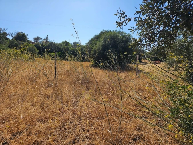 Terreno para Venda em Loule (São Clemente) Foto 16