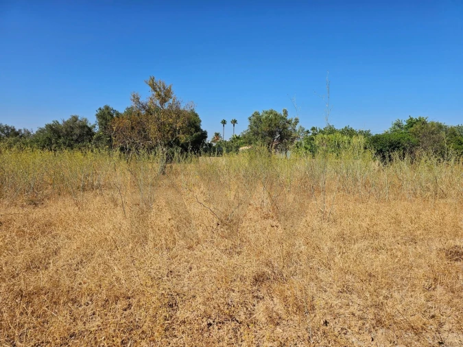 Terreno para Venda em Loule (São Clemente) Foto 6