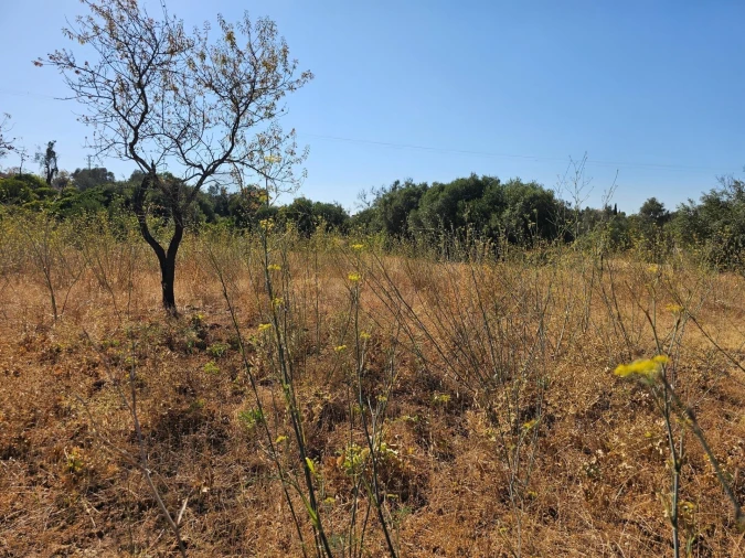Terreno para Venda em Loule (São Clemente) Foto 18