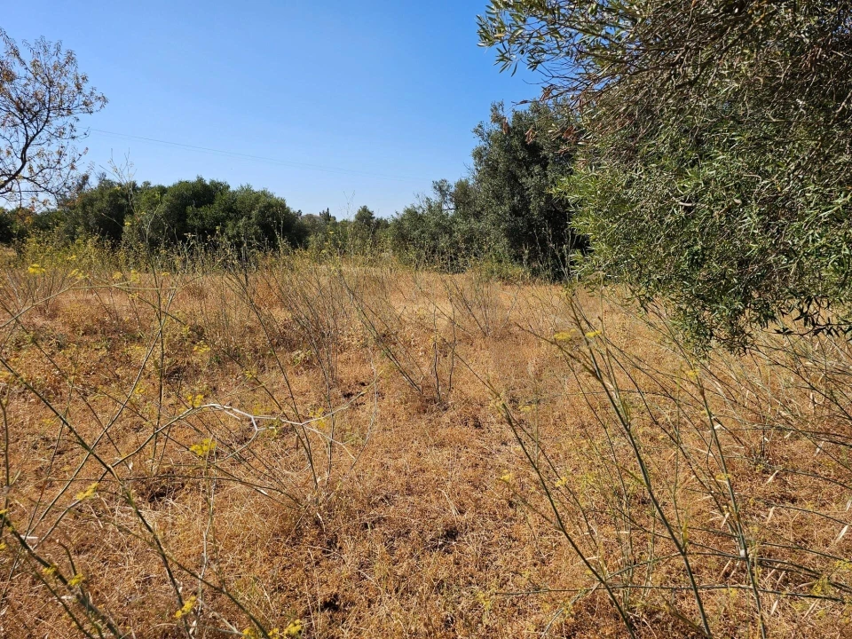 Terreno para Venda em Loule (São Clemente) Foto 9