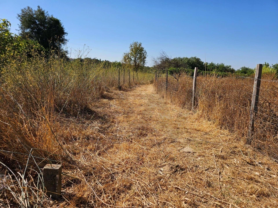 Terreno para Venda em Loule (São Clemente) Foto 4