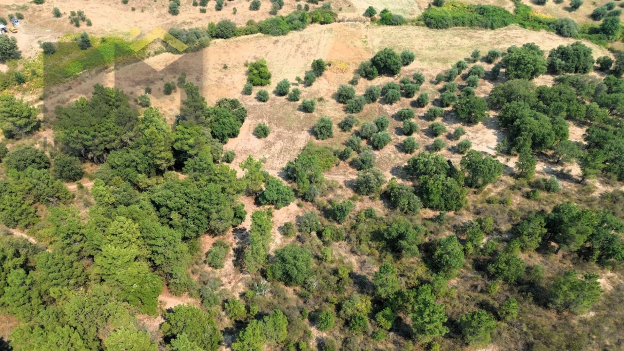 Terreno Agricola ou Rústico para Venda em Salgueiro do Campo Foto 5