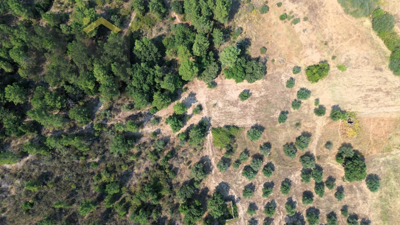 Terreno Agricola ou Rústico para Venda em Salgueiro do Campo Foto 7