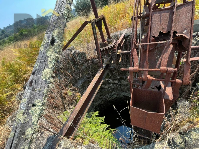 Terreno Agricola ou Rústico para Venda em Salgueiro do Campo Foto 4