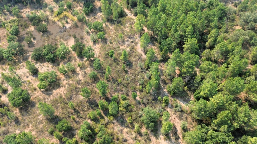 Terreno Agricola ou Rústico para Venda em Salgueiro do Campo Foto 6