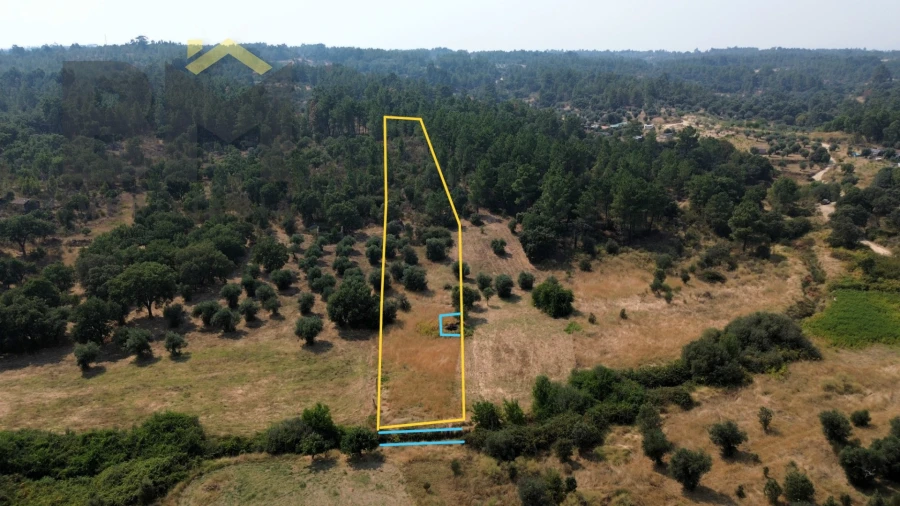 Terreno Agricola ou Rústico para Venda em Salgueiro do Campo Foto 11