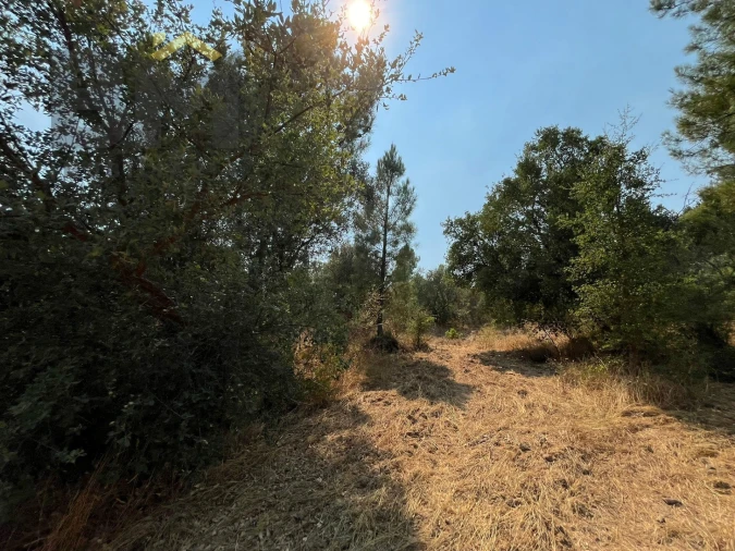 Terreno Agricola ou Rústico para Venda em Salgueiro do Campo Foto 10