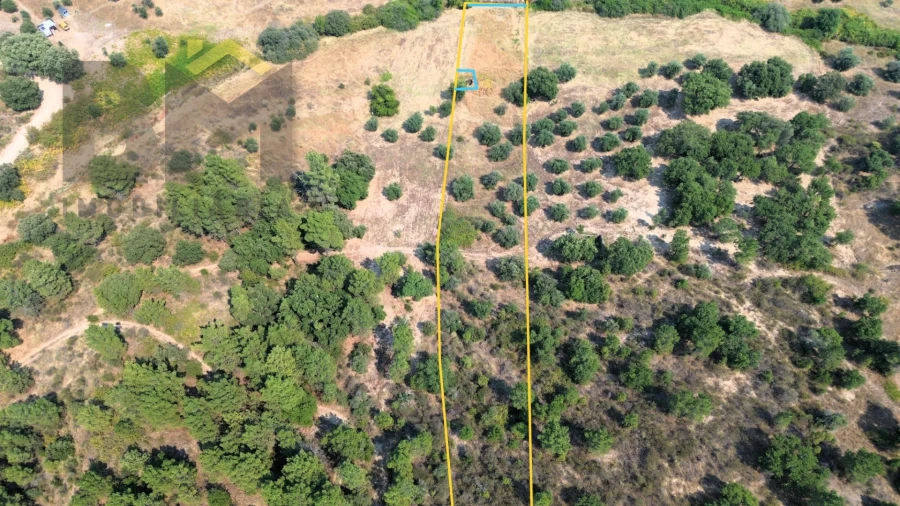 Terreno Agricola ou Rústico para Venda em Salgueiro do Campo Foto 2
