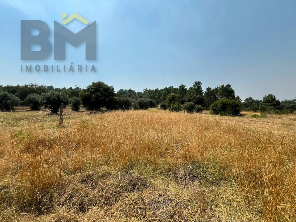 Terreno Agricola ou Rústico para Venda em Salgueiro do Campo Foto 8