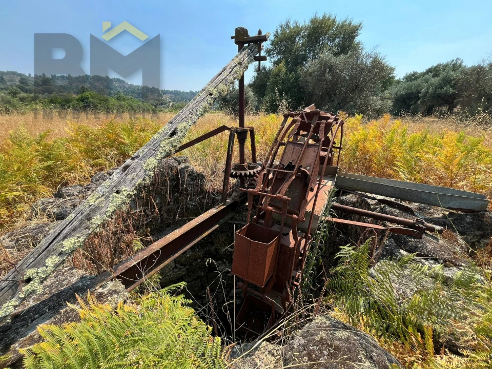 Terreno Agricola ou Rústico para Venda em Salgueiro do Campo Foto 1
