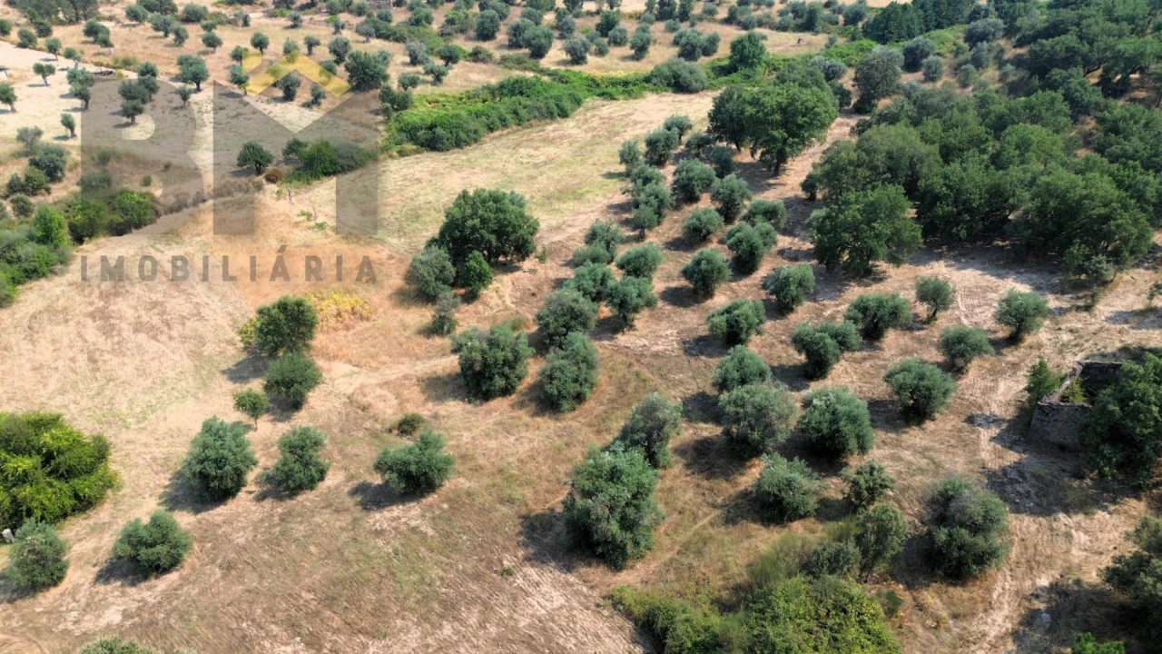 Terreno Agricola ou Rústico para Venda em Salgueiro do Campo Foto 3