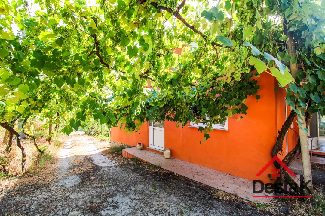 Quinta T3 para Venda em Arcozelo das Maias Foto 29