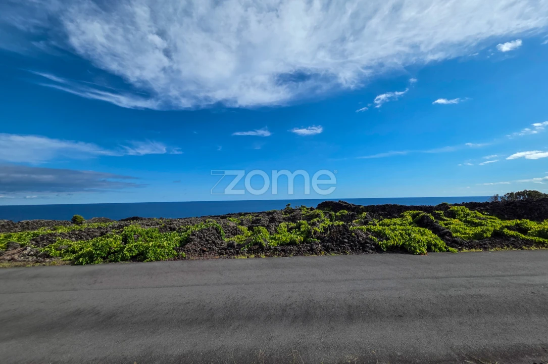 Terreno para Venda em São Caetano Foto 7