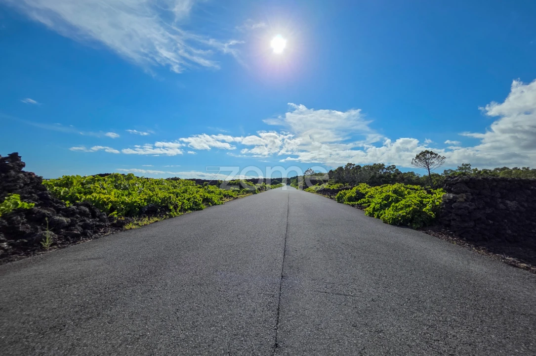 Terreno para Venda em São Caetano Foto 9