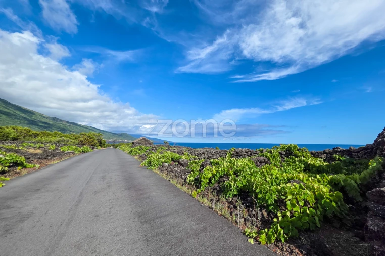 Terreno para Venda em São Caetano Foto 4