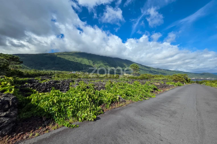 Terreno para Venda em São Caetano Foto 5