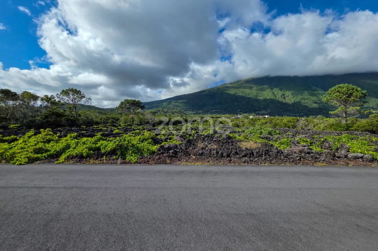 Terreno para Venda em São Caetano Foto 6