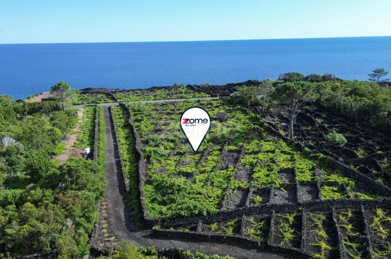 Terreno para Venda em São Caetano Foto 12