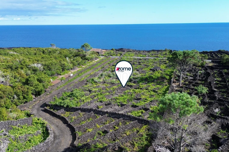 Terreno para Venda em São Caetano Foto 2