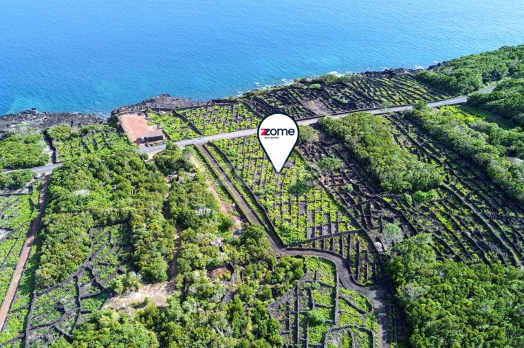 Terreno para Venda em São Caetano