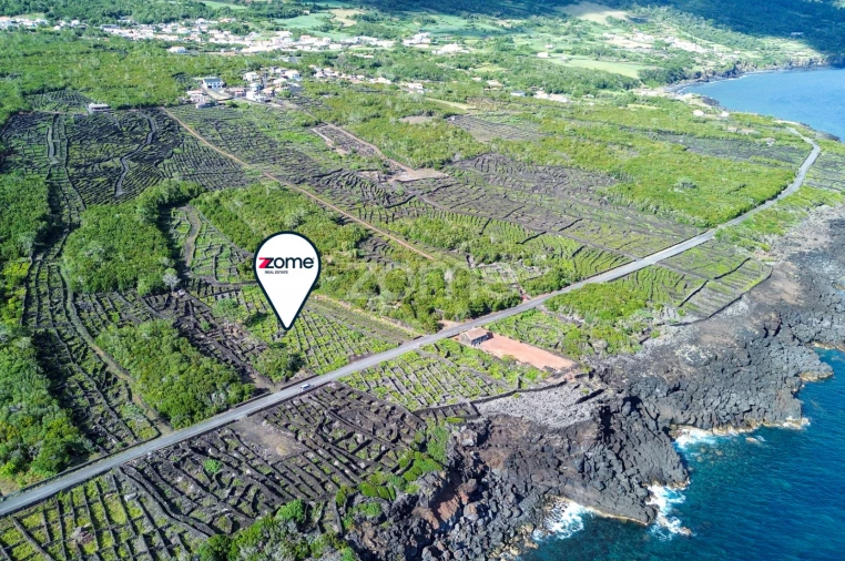Terreno para Venda em São Caetano Foto 13