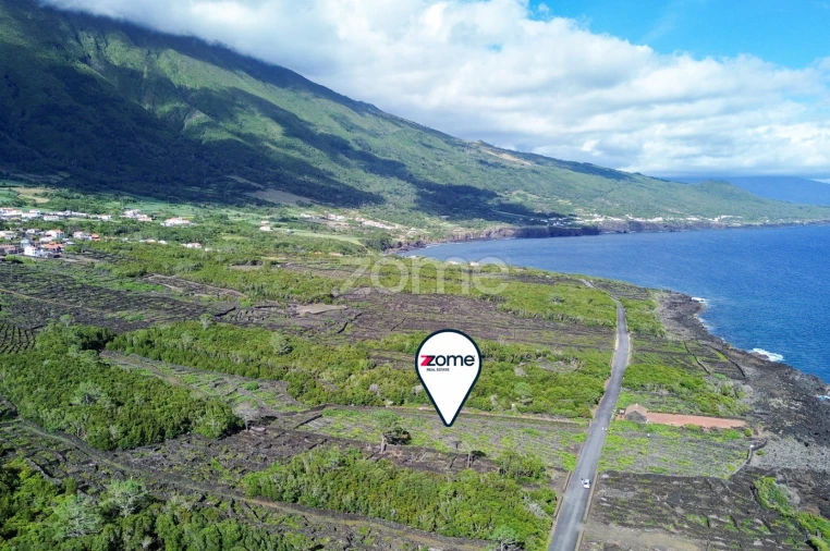 Terreno para Venda em São Caetano Foto 14