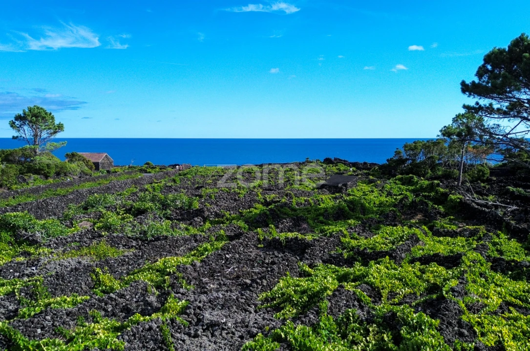 Terreno para Venda em São Caetano Foto 16