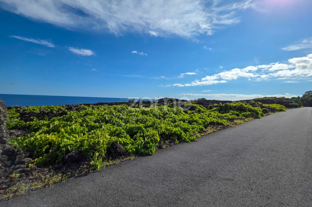 Terreno para Venda em São Caetano Foto 5